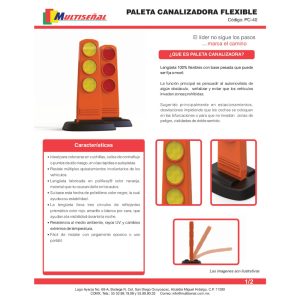 paleta vial